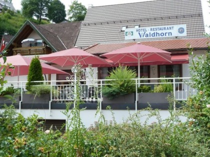 照片: Waldhorn